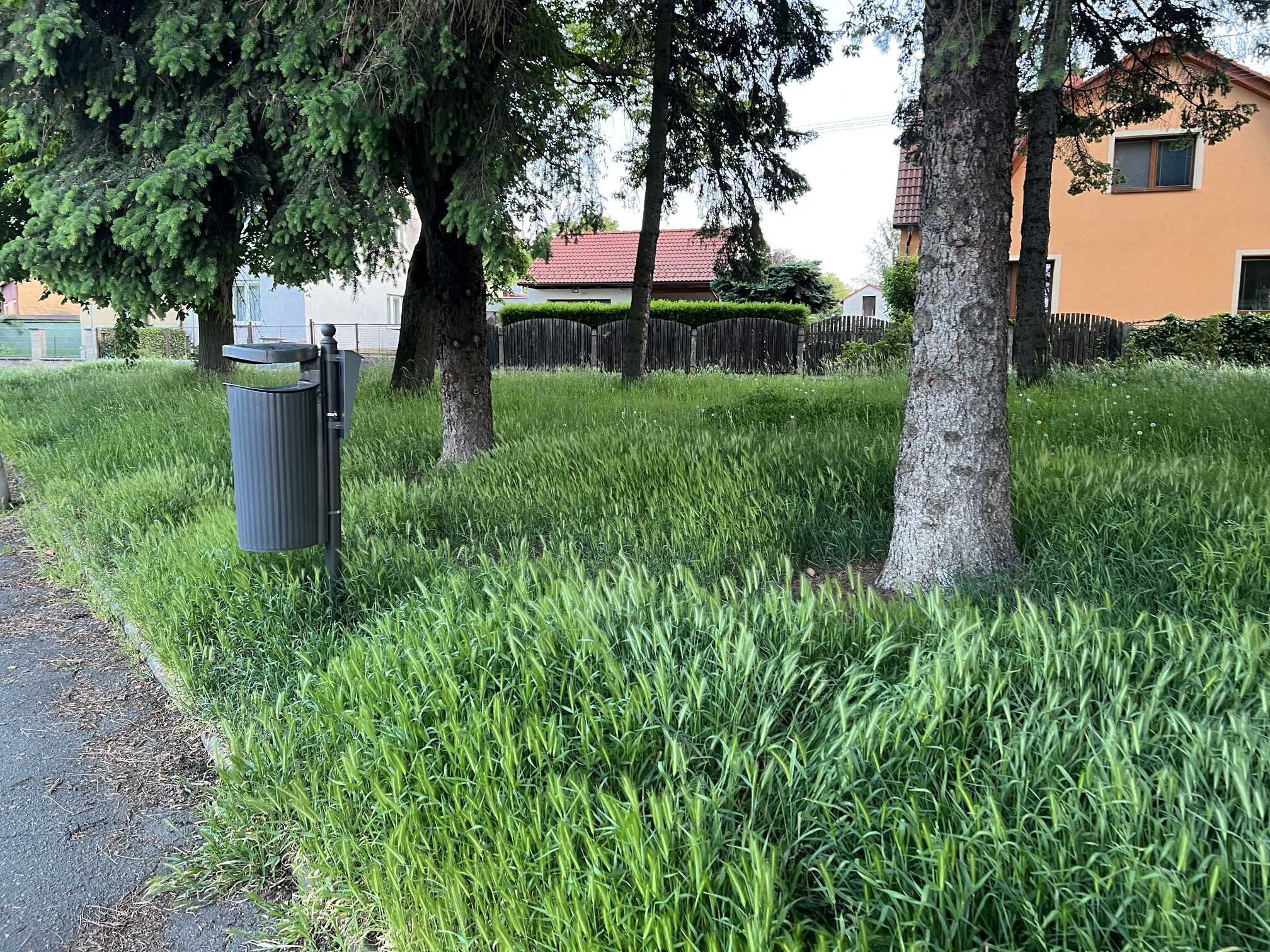 tráva ve městě