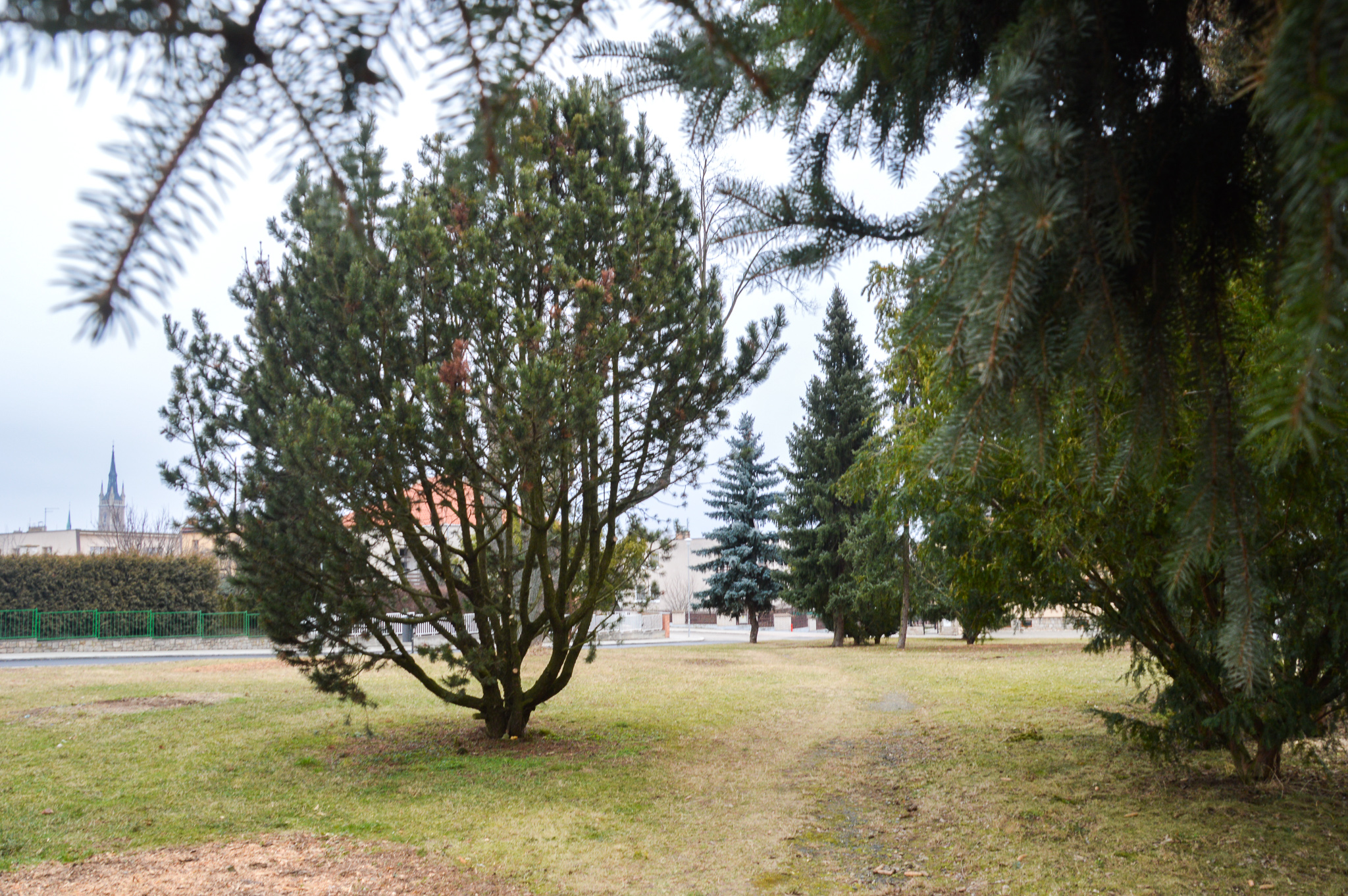 park Na Vyhlídce
