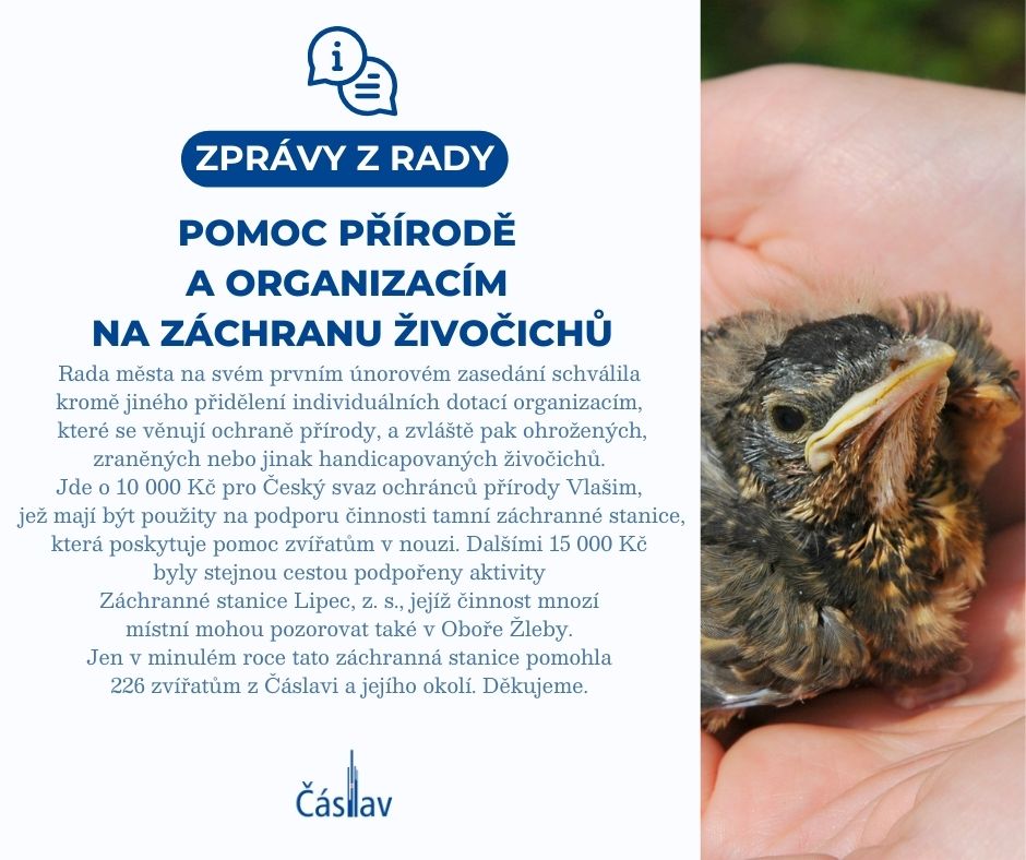 zprávy z RM